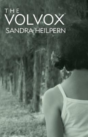 Buch The Volvox Sandra Heilpern