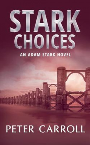 Könyv Stark Choices: An Adam Stark Novel Peter Carroll
