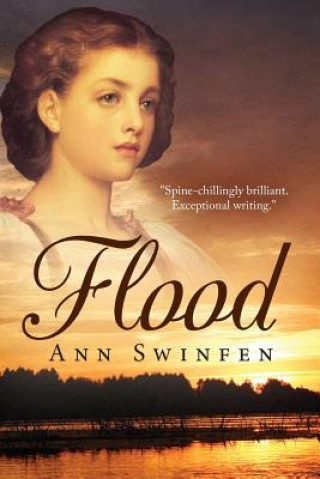 Kniha Flood Ann Swinfen