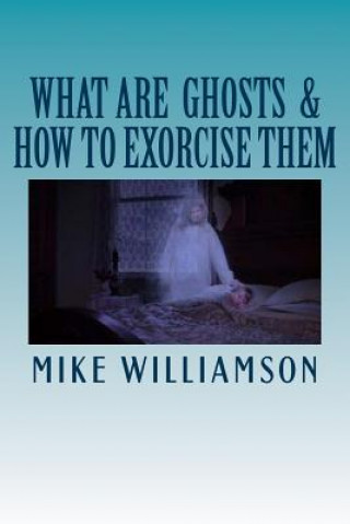 Kniha What are Ghosts: How to Exorcise Them MR Mike Williamson