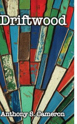 Buch Driftwood Anthony S Cameron