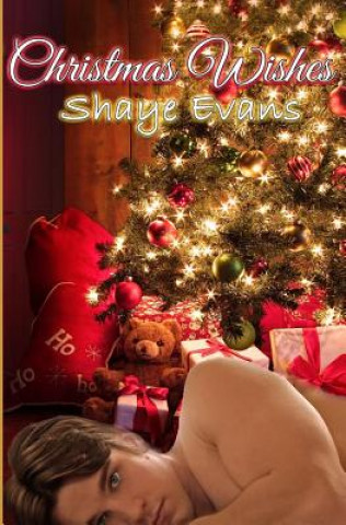 Könyv Christmas Wishes Shaye Evans