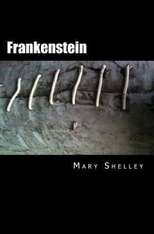 Kniha Frankenstein Mary Shelley