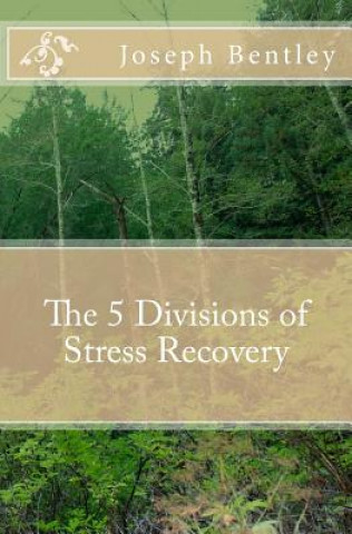 Kniha The 5 Divisions of Stress Recovery MR Joseph Michael Bentley