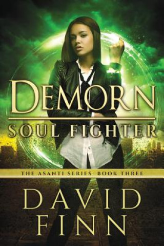 Kniha Demorn: Soul Fighter MR David Finn