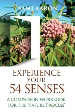 Carte Experience Your 54 Senses Sami Aaron