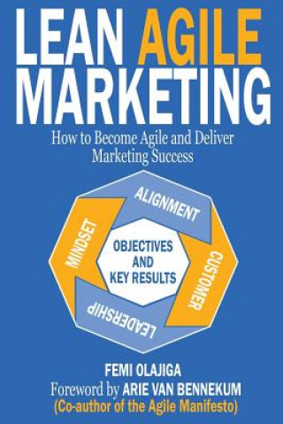 Kniha Lean Agile Marketing: How to Become Agile and Deliver Marketing Success Ivna Reic