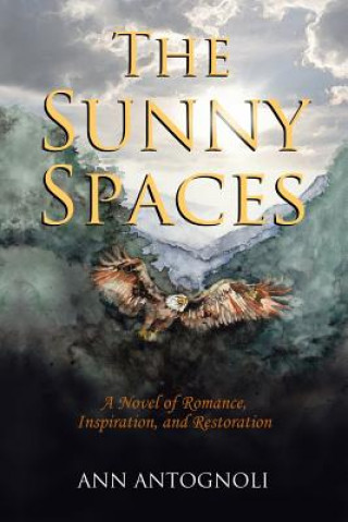 Carte The Sunny Spaces: A Novel of Romance, Inspiration, and Restoration Ann Antognoli