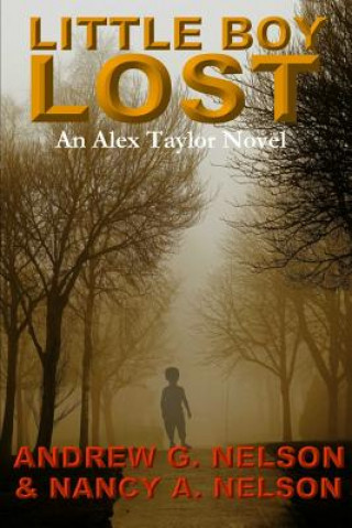 Buch Little Boy Lost Andrew G Nelson