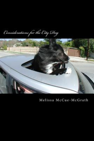 Buch Considerations for the City Dog Melissa McCue-McGrath