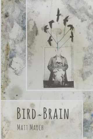 Carte Bird Brain Matt Mauch