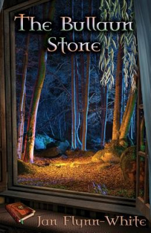 Book The Bullaun Stone Jan Flynn_white