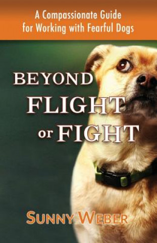 Kniha Beyond Flight or Fight Sunny Weber