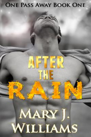 Buch After the Rain Mary J Williams