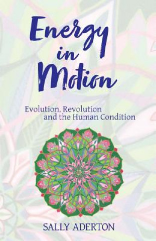 Kniha Energy in Motion: Evolution, Revolution and the Human Condition Sally Aderton