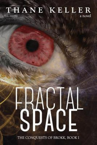 Buch Fractal Space Thane Keller
