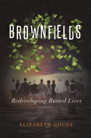 Книга Brownfields Elizabeth J Goudy