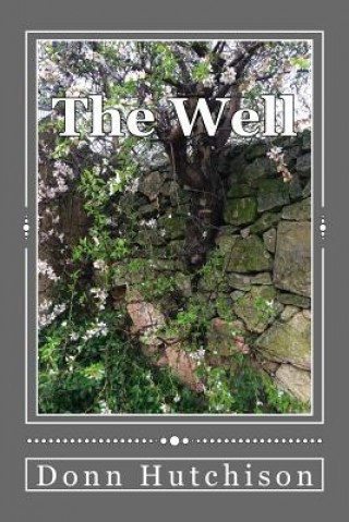 Buch The Well Donn Hutchison