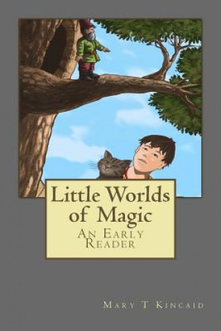 Kniha Little Worlds of Magic Mary T Kincaid