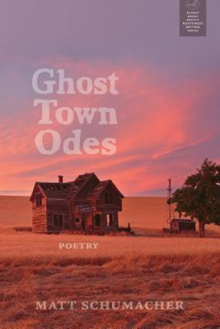 Kniha Ghost Town Odes Matt Schumacher