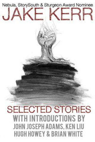 Boek Selected Stories Jake Kerr