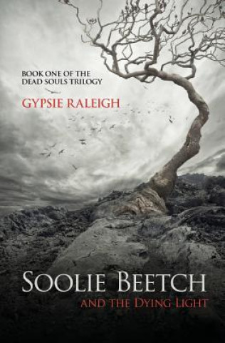 Knjiga Soolie Beetch and the Dying Light Gypsie Raleigh