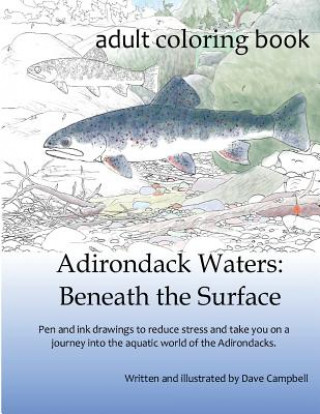 Buch Adirondack Waters: Beneath the Surface Dave Campbell