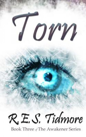 Book Torn R E S Tidmore