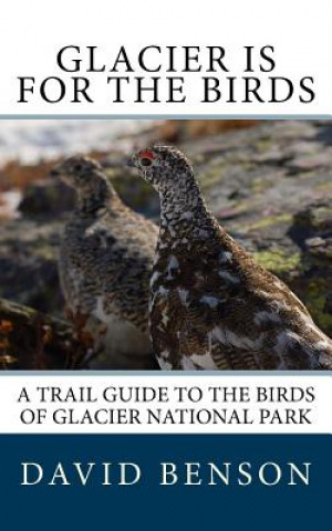 Carte Glacier is for the Birds: A Trail Guide to the Birds of Glacier National Park David P Benson