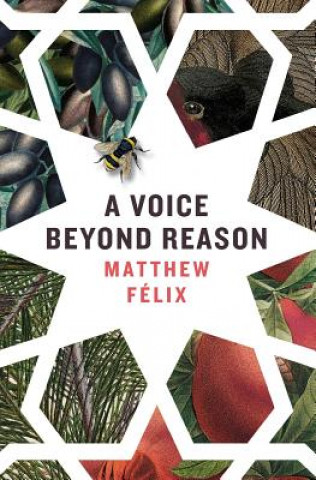 Kniha A Voice Beyond Reason Matthew Felix