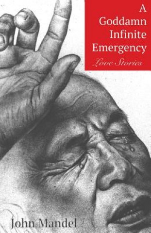 Kniha A Goddamn Infinite Emergency: Love Stories John Mandel