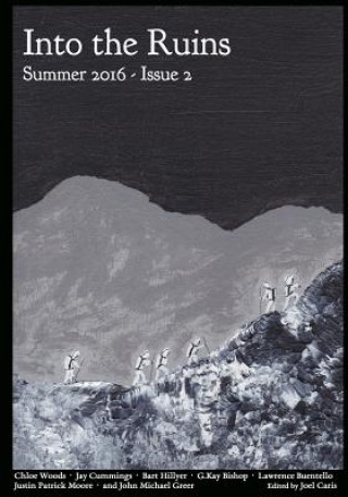 Kniha Into the Ruins: Summer 2016 Joel Caris
