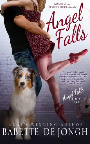 Boek Angel Falls Babette De Jongh