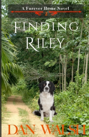 Kniha Finding Riley Dan Walsh