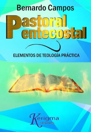 Kniha Pastoral Pentecostal: Elementos de Teologia Practica Bernardo Campos