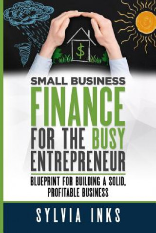 Könyv Small Business Finance for the Busy Entrepreneur: Blueprint for Building a Solid, Profitable Business Sylvia Inks
