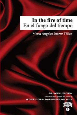 Kniha In the fire of time Maria Angeles Juarez Tellez