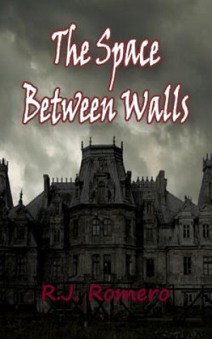 Книга The Space Between Walls R J Romero