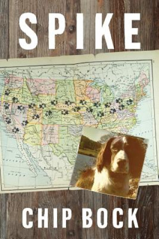 Book Spike Chip Bock