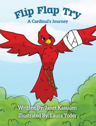 Könyv Flip Flap Try . . . A Cardinal's Journey Janet L Kassalen