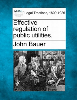 Kniha Effective Regulation of Public Utilities. John Bauer
