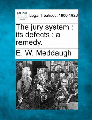 Knjiga The Jury System: Its Defects: A Remedy. E W Meddaugh