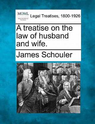 Kniha A Treatise on the Law of Husband and Wife. James Schouler