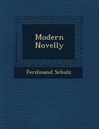 Buch Modern Novelly Ferdinand Schulz