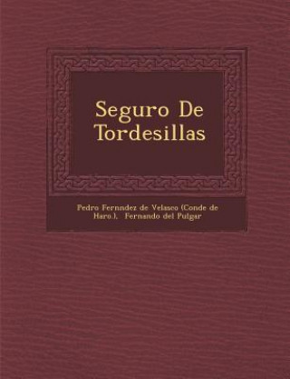 Könyv Seguro de Tordesillas Pedro Fern Ndez De Velasco (Conde De H