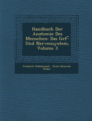 Könyv Handbuch Der Anatomie Des Menschen: Das Gef - Und Nervensystem, Volume 3 Friedrich Hildebrandt