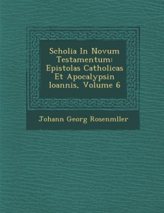 Carte Scholia in Novum Testamentum: Epistolas Catholicas Et Apocalypsin Ioannis, Volume 6 Johann Georg Rosenm Ller