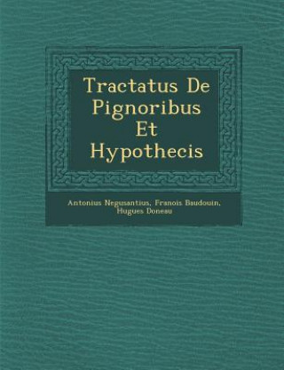 Könyv Tractatus de Pignoribus Et Hypothecis Antonius Negusantius