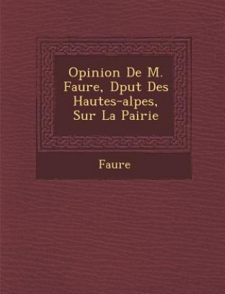 Carte Opinion de M. Faure, D Put Des Hautes-Alpes, Sur La Pairie FAURE
