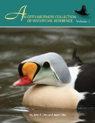 Carte Otto Brothers Collection of Waterfowl Reference John R Otto